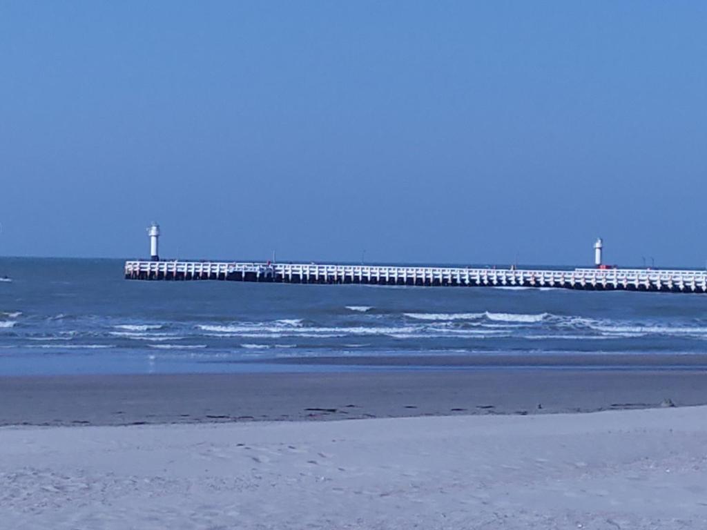 Studio Havenzicht Nieuwpoort Eksteriør bilde