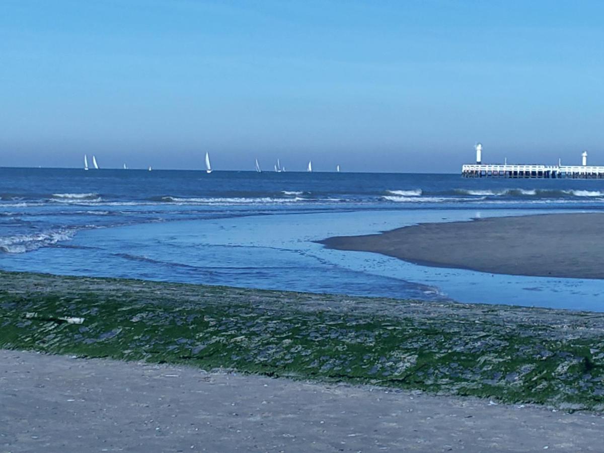 Studio Havenzicht Nieuwpoort Eksteriør bilde