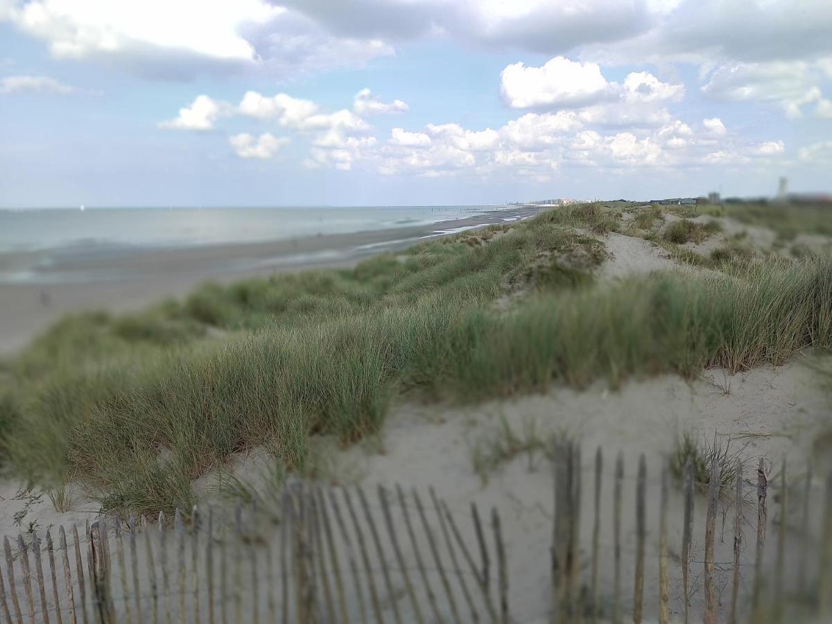 Studio Havenzicht Nieuwpoort Eksteriør bilde