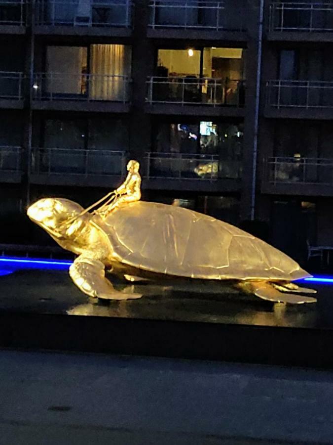 Studio Havenzicht Nieuwpoort Eksteriør bilde